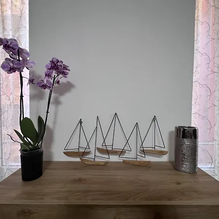 House Dama * アレンツァーノ